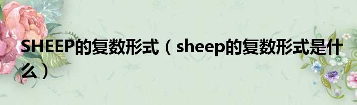 SHEEP的复数形式（sheep的复数形式是什么）