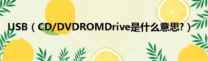 USB（CD/DVDROMDrive是什么意思?）