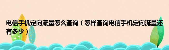 电信手机定向流量怎么查询（怎样查询电信手机定向流量还有多少）