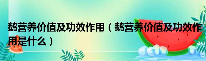 鹅营养价值及功效作用（鹅营养价值及功效作用是什么）(图1)