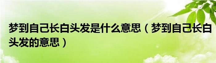 梦到自己长白头发是什么意思（梦到自己长白头发的意思）(图1)