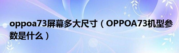 oppoa73屏幕多大尺寸（OPPOA73机型参数是什么）(图1)