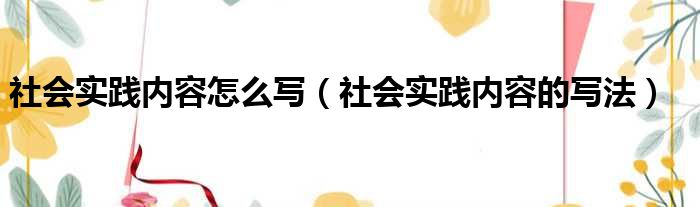 社会实践内容怎么写（社会实践内容的写法）(图1)