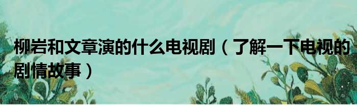 柳岩和文章演的什么电视剧（了解一下电视的剧情故事）(图1)