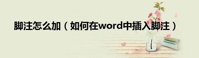 脚注怎么加（如何在word中插入脚注）(图1)