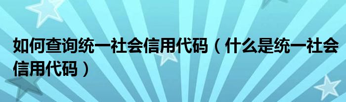 如何查询统一社会信用代码（什么是统一社会信用代码）(图1)