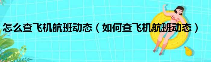 怎么查飞机航班动态（如何查飞机航班动态）(图1)