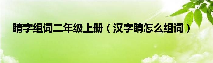 睛字组词二年级上册（汉字睛怎么组词）(图1)