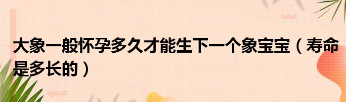 大象一般怀孕多久才能生下一个象宝宝（寿命是多长的）(图1)