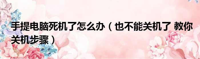 手提电脑死机了怎么办（也不能关机了 教你关机步骤）(图1)