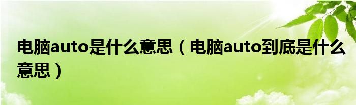 电脑auto是什么意思（电脑auto到底是什么意思）(图1)