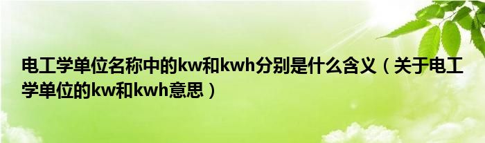 电工学单位名称中的kw和kwh分别是什么含义（关于电工学单位的kw和kwh意思）(图1)