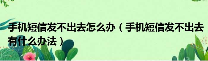 手机短信发不出去怎么办（手机短信发不出去有什么办法）(图1)