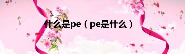 什么是pe（pe是什么）(图1)