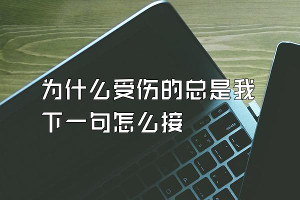 为什么受伤的总是我下一句怎么接