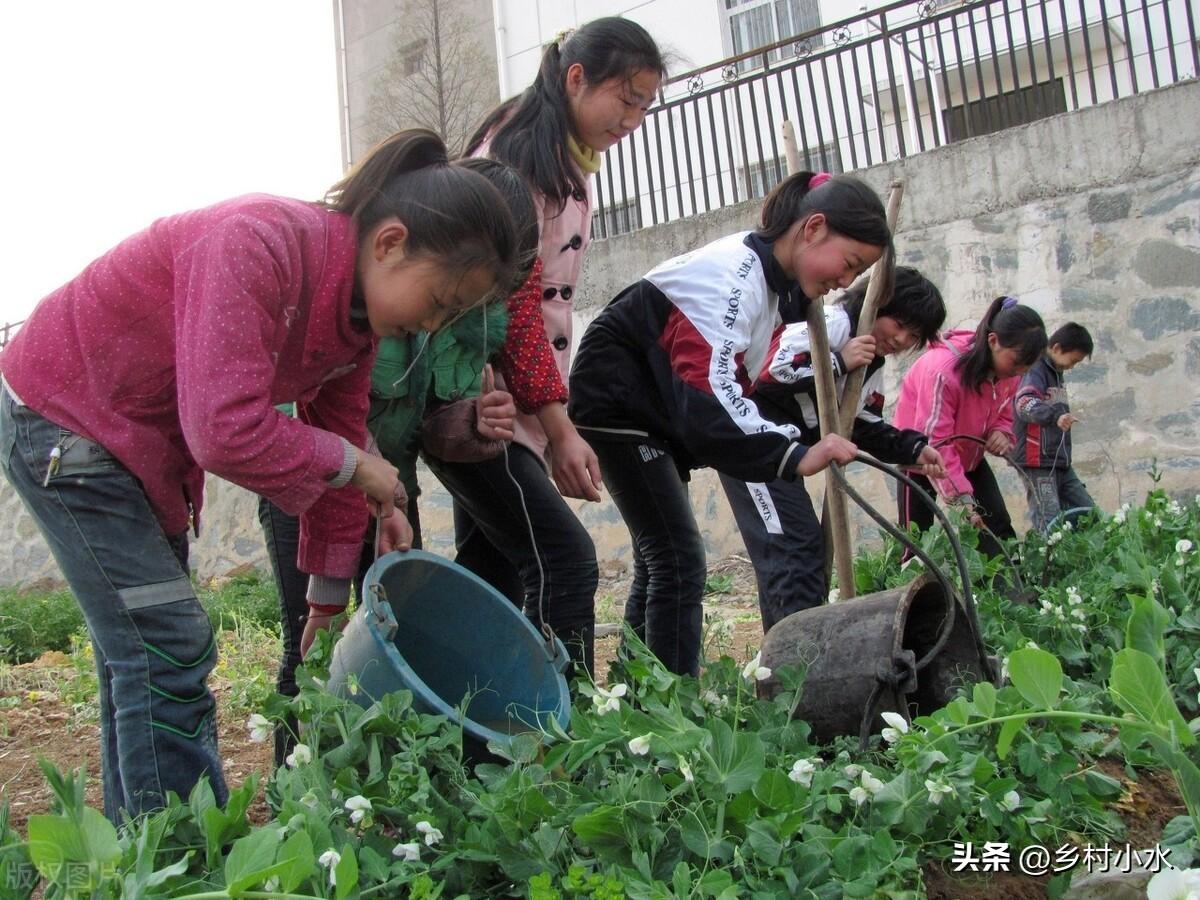 用粪水浇种的蔬菜不能吃？真的吗？(图2)