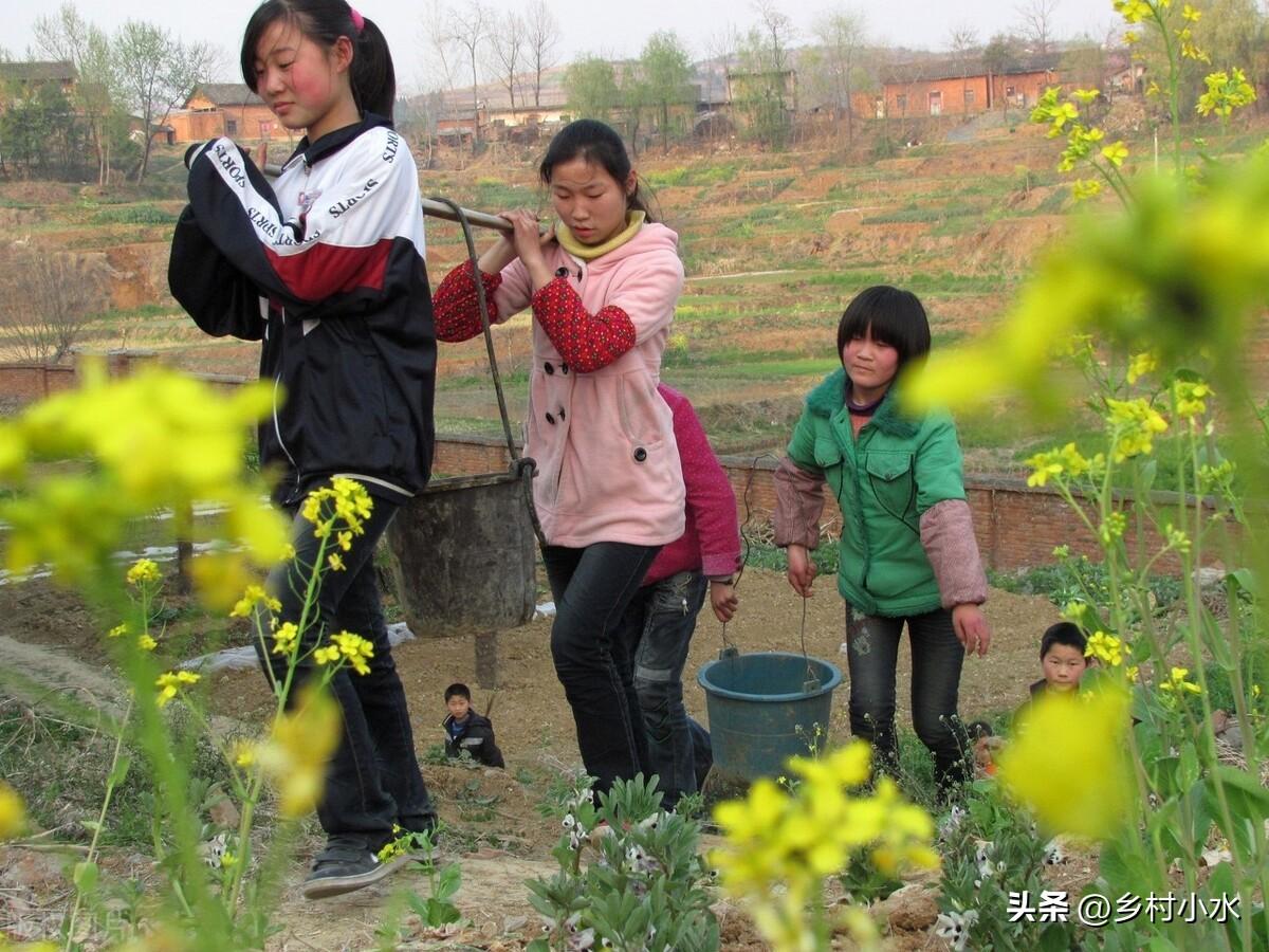 用粪水浇种的蔬菜不能吃？真的吗？(图1)