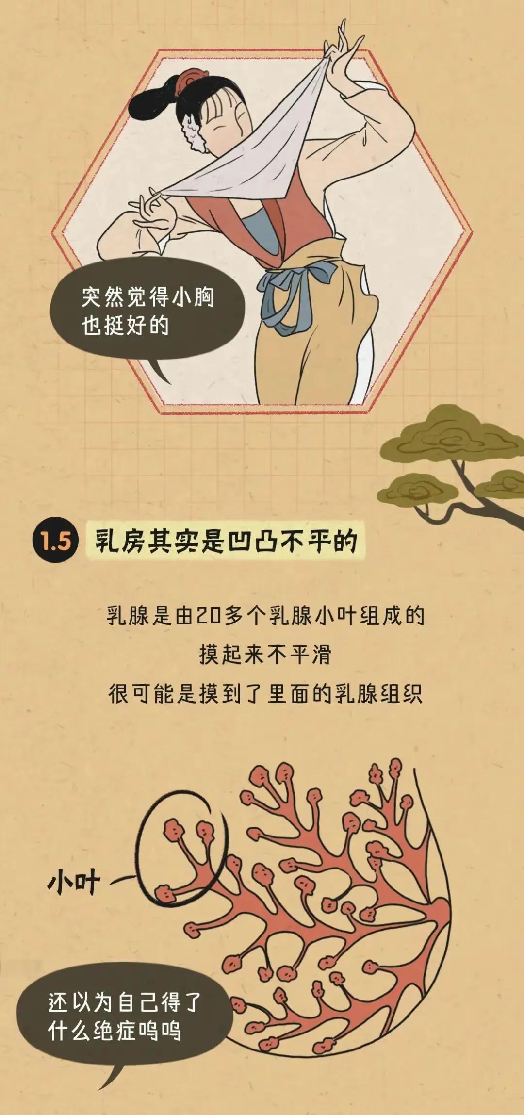 女生胸部可以分为几种？(图4)