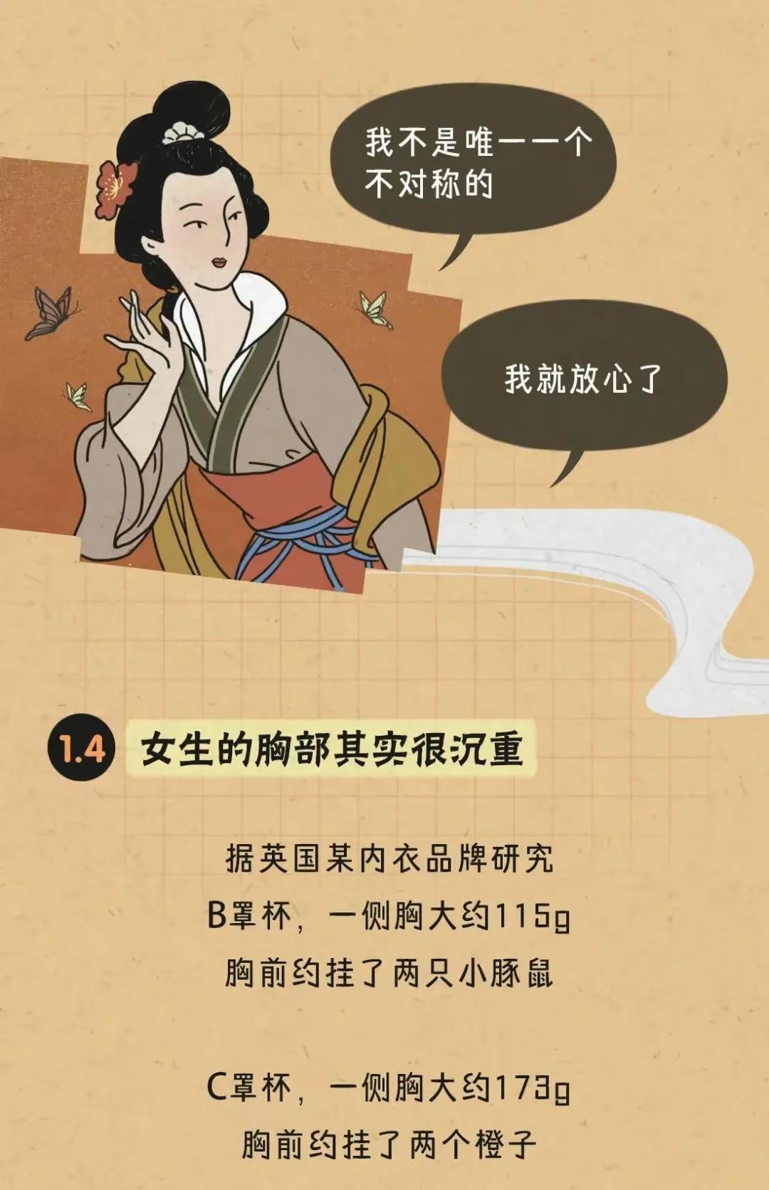 女生胸部可以分为几种？(图3)