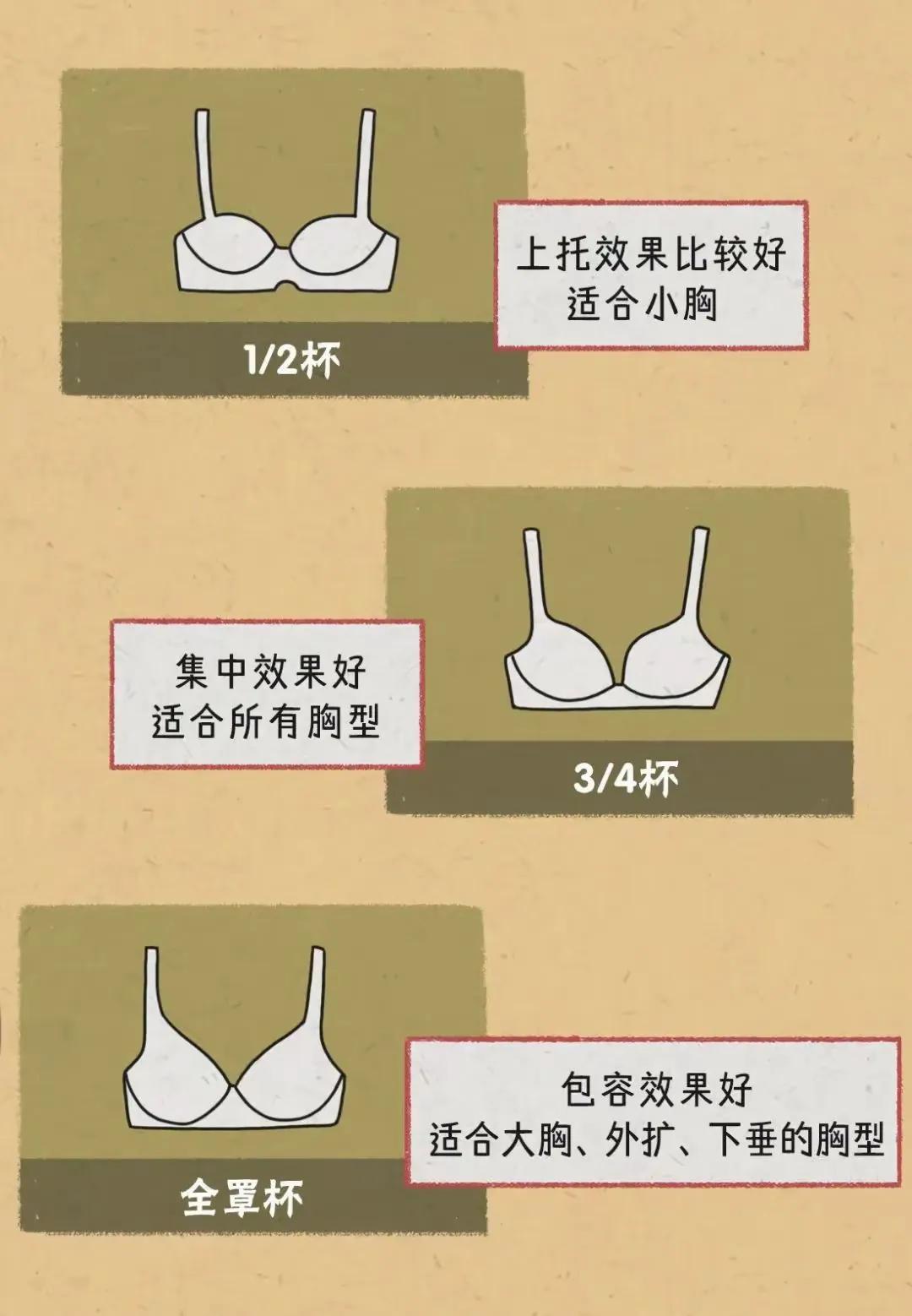 女生胸部可以分为几种？(图7)