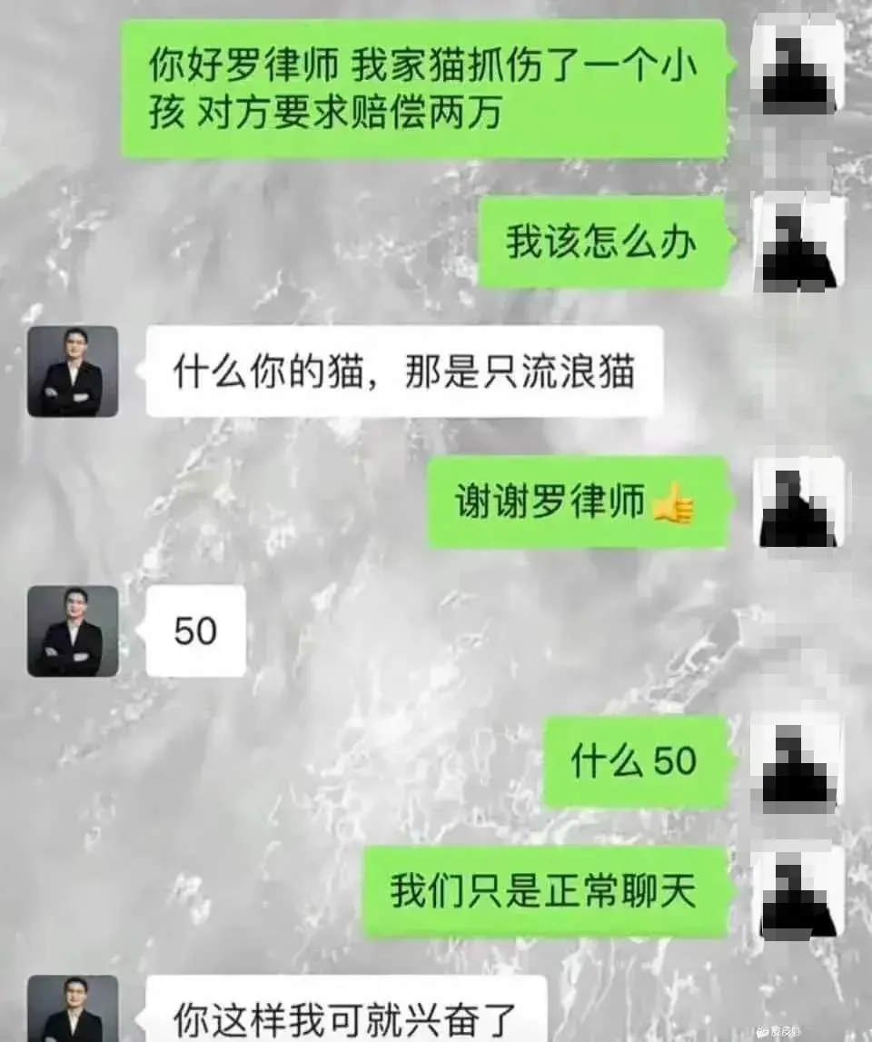 律师的说话技巧，你服不服？[灵光一闪](图1)