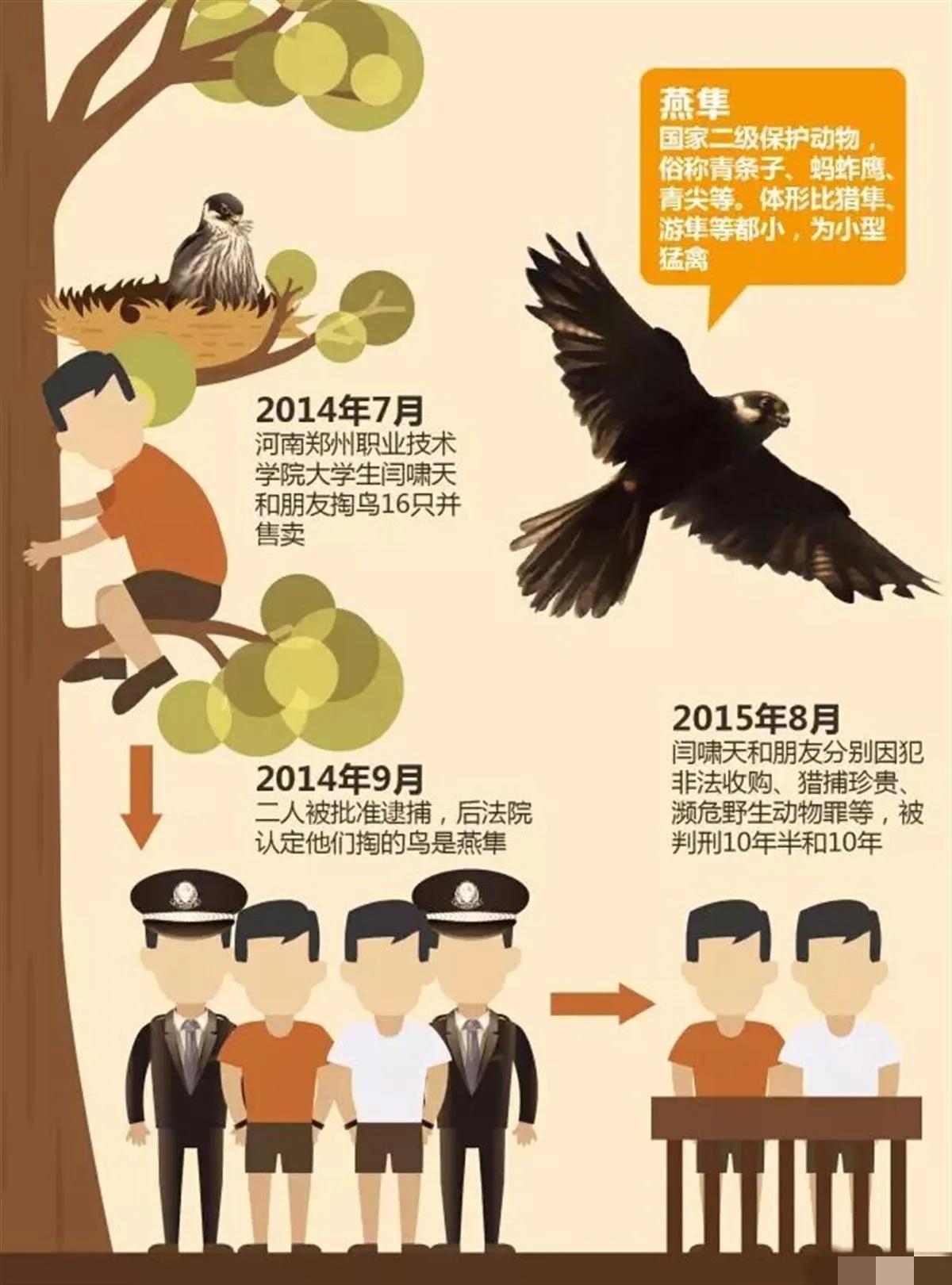 2014年河南大学生闫啸天和王亚军掏了一鸟窝，被重判10年，这是什么情况？(图1)