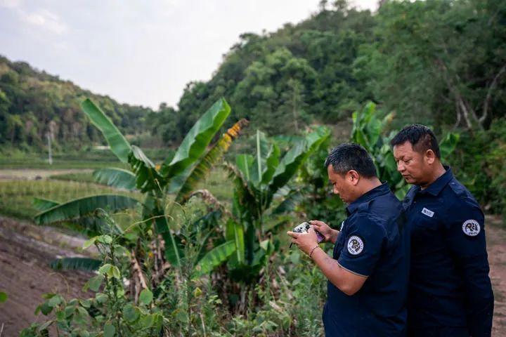 还记得两年前那群北上南归的野象吗？(图3)