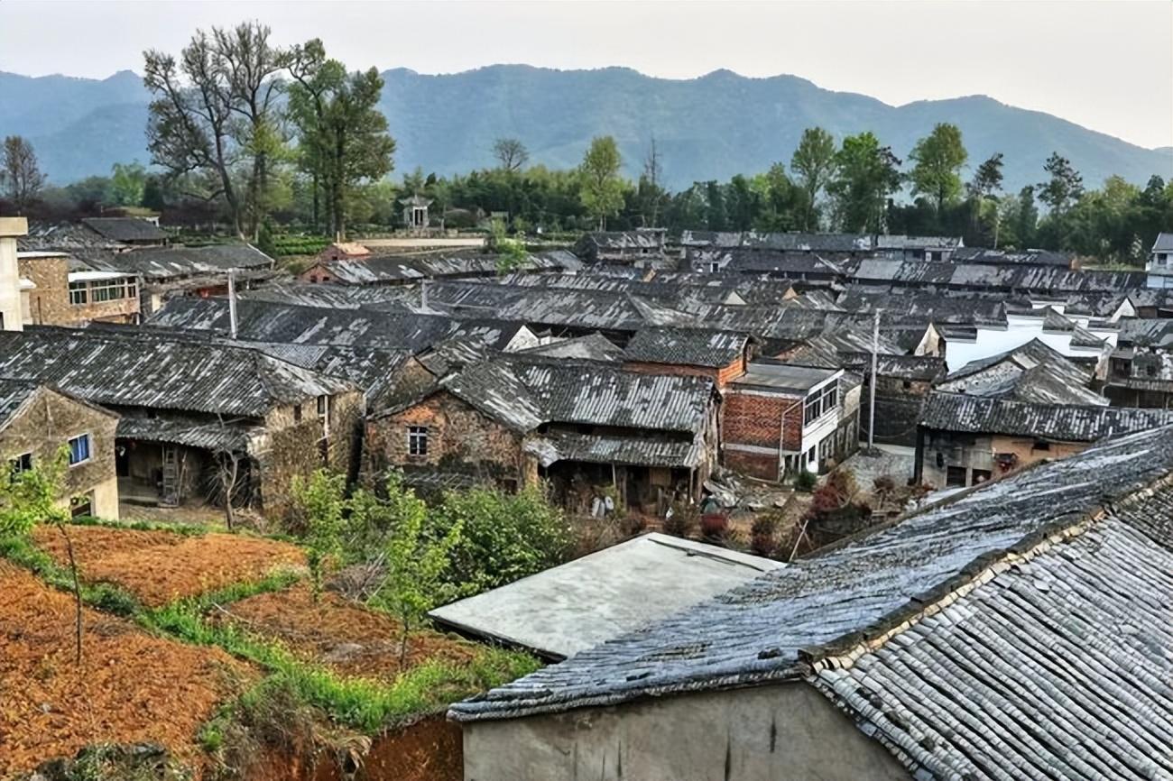 广西一男子，多次强行要求同村寡妇与其发生关系，结果却命丧猪圈(图3)