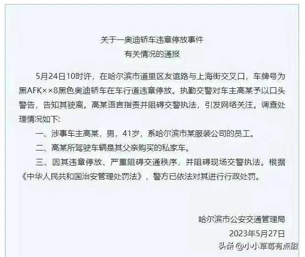 哈尔滨奥迪车主怼交警后续，车主身份被曝，难怪打扮这么有型(图14)