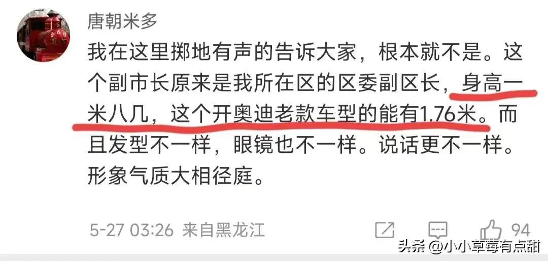 哈尔滨奥迪车主怼交警后续，车主身份被曝，难怪打扮这么有型(图10)