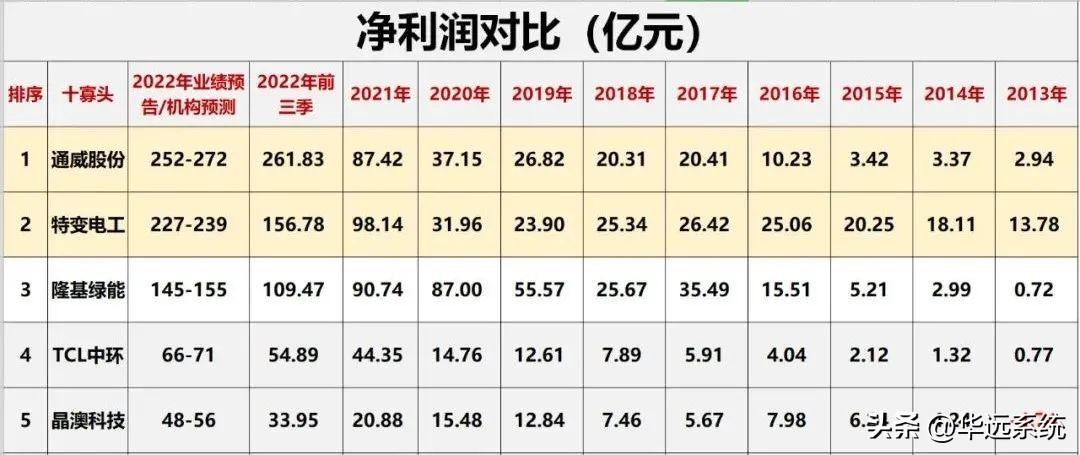 光伏10大巨头业绩对比(图19)