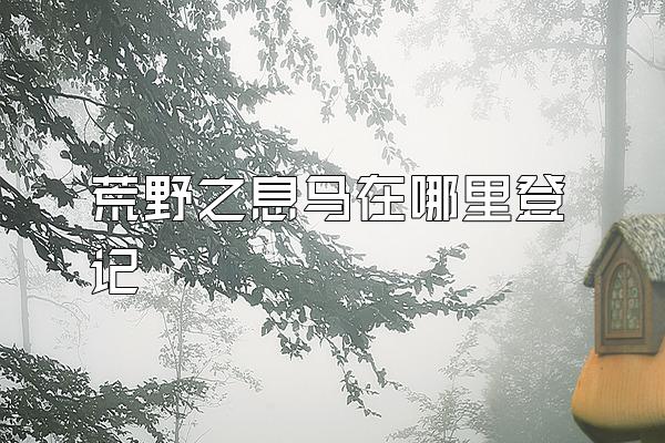 荒野之息马在哪里登记