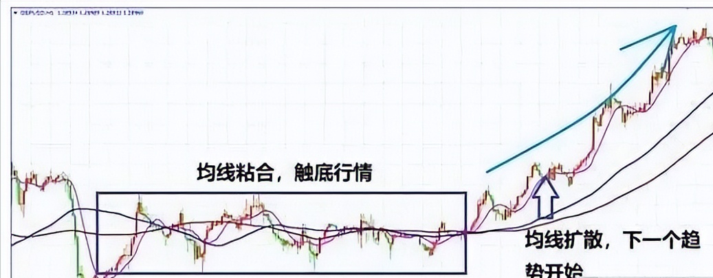 真的会有人炒股实现财务自由么？(图15)