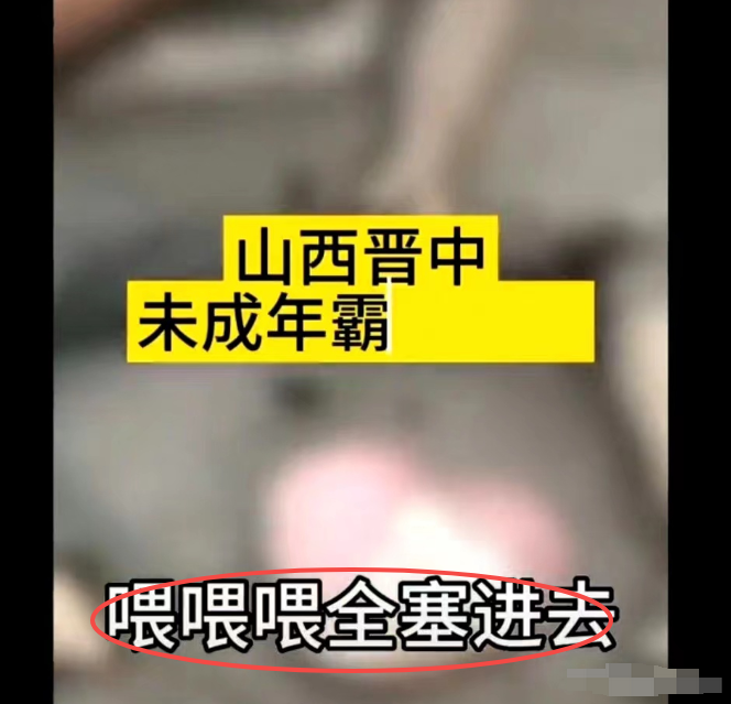 山西男孩遭霸凌吃粪便，精神恍惚不认人，被迫和解，公道何在？(图4)