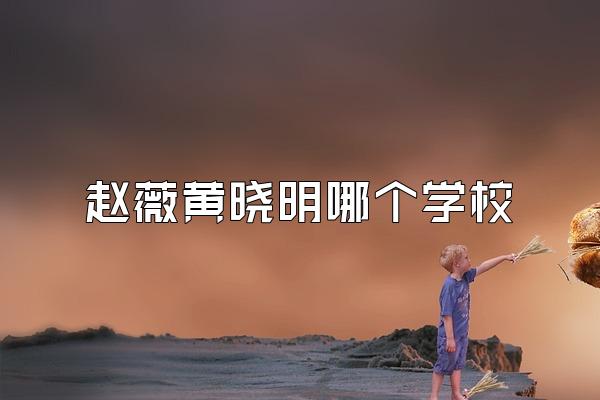 赵薇黄晓明哪个学校