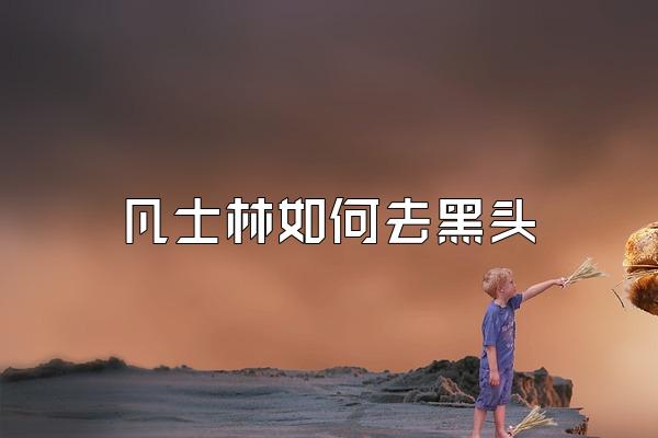 凡士林如何去黑头