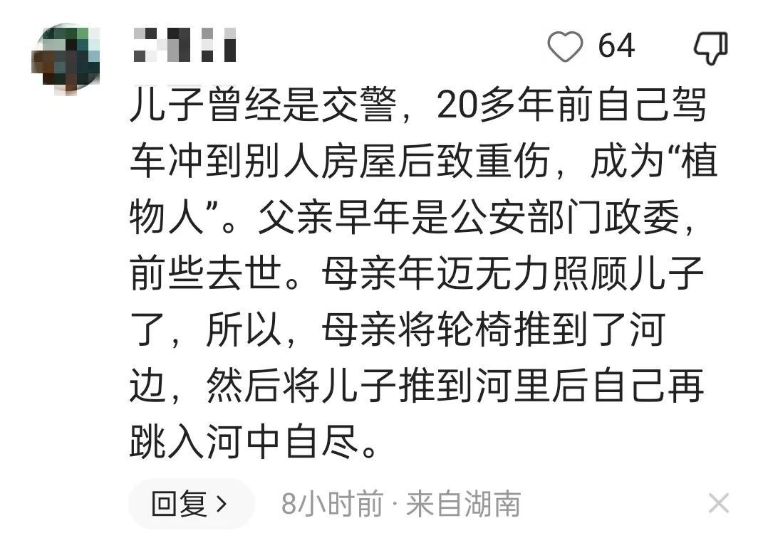 突发！湖南发生安全事故：一对母子坠河身亡，知情人透露事发原因(图3)