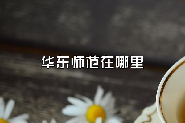 华东师范在哪里