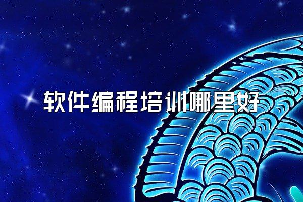 软件编程培训哪里好