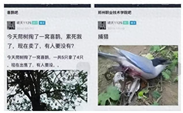 河南掏鸟大学生已刑满出狱，父亲坚持上诉5年：法官看我像瘟神!(图11)