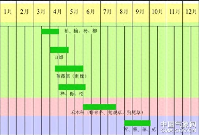 “雷暴哮喘”如何防范？你需要一份花粉预报！(图1)