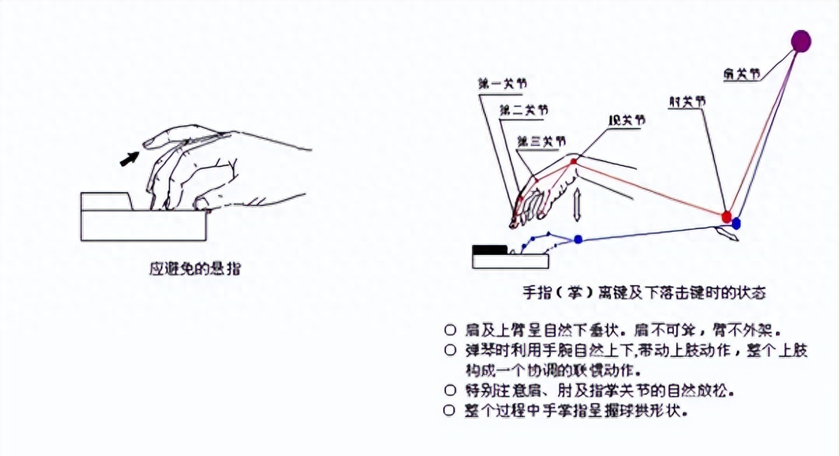 弹钢琴怎么提升手指运动力，更灵活，跑更快？(图7)