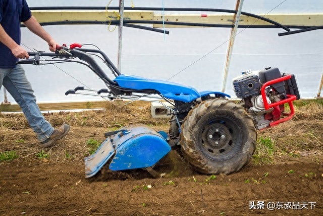 河南农妇捡花生卷死后续：3大疑点内幕曝出，司机恐面临高额赔偿(图6)