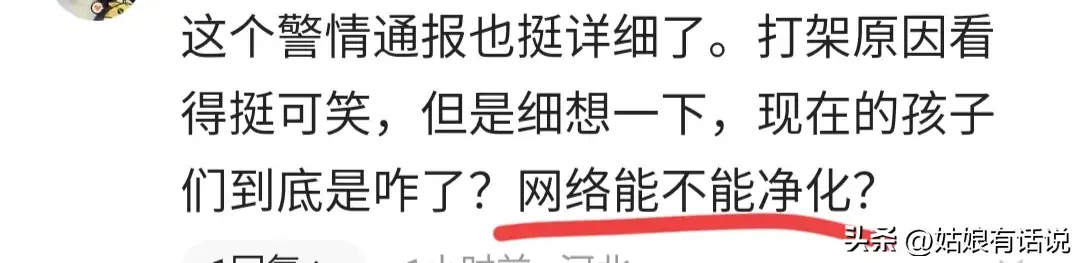 一句“乡里b”14名孩子被逮捕，长沙群殴事件后续：或负刑事责任(图12)