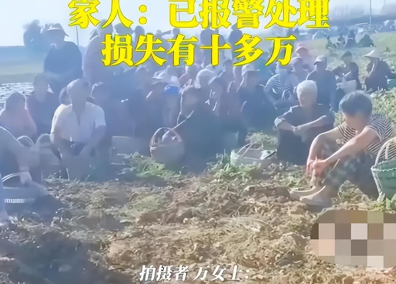 真相大白！药材被村民哄抢后续：河南民众集体声讨，处理结果公布(图3)