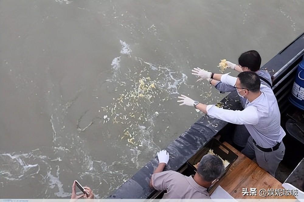 就是把骨灰撒到海里，为啥部分海葬贵达上万？免费海葬还要排队？(图4)