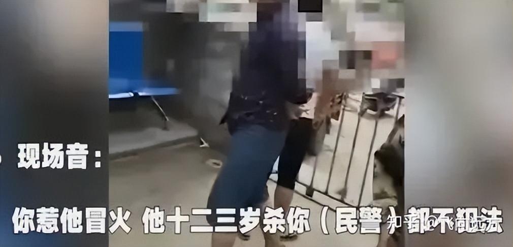 痛心！4岁女童遭未满12岁男孩扔入粪缸杀害，后续调查情况如何？(图17)