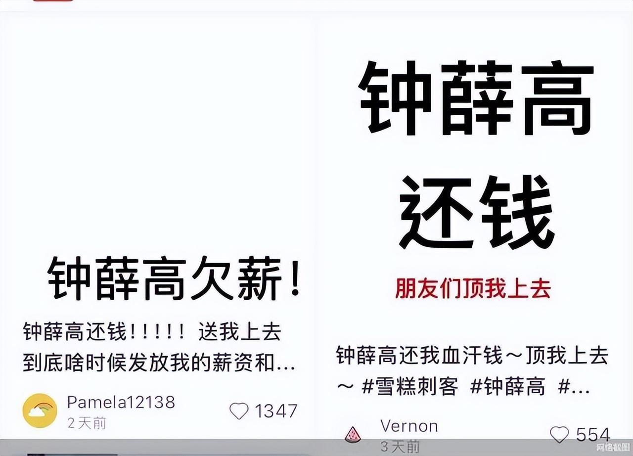 钟薛高：从年销2.2亿支，到月销200支，谁还在买“雪糕刺客”？(图1)