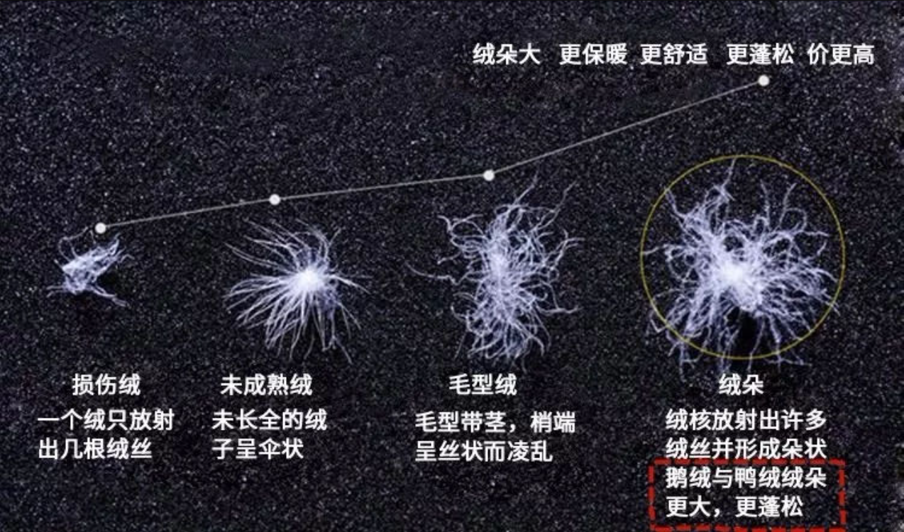 羽绒服彻底失宠？业内预计今年羽绒服大卖，结果人们爱上军大衣？(图9)