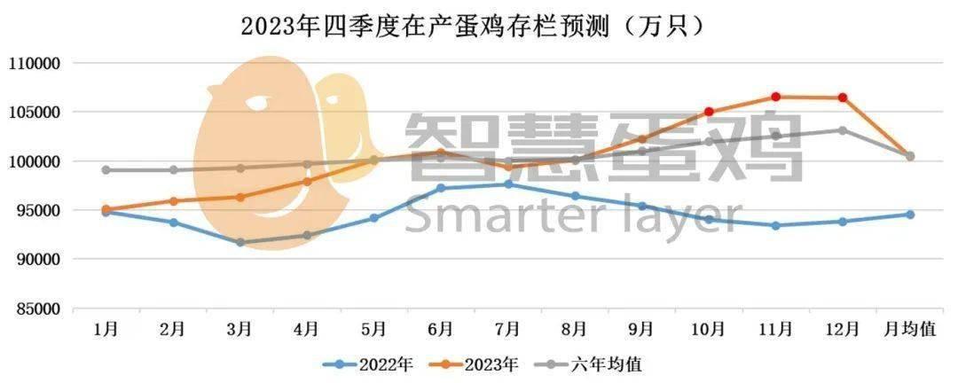 外国鸡蛋价格开过山车，涨幅超过6美元，为啥我国波动不超两块？(图20)